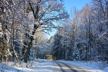 Road in winter forest full of snow.