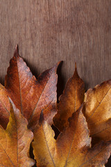 Naklejka na ściany i meble Autumn leaves on wooden background