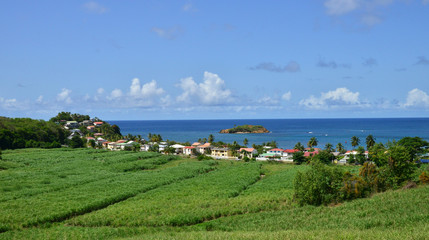  Martinique, picturesque village of Tartane in West Indies