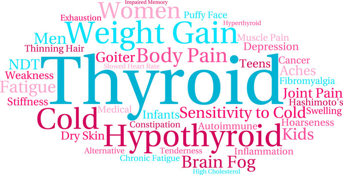 Thyroid Word Cloud on a white background. 