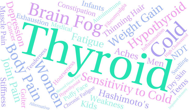 Thyroid Word Cloud on a white background.