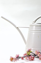 watering can with flower