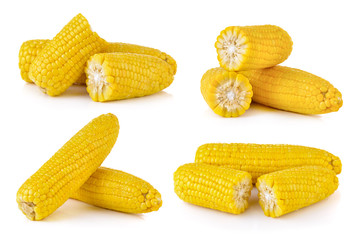 corn on white background