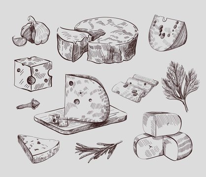 cheese making various types of cheese set of vector sketches