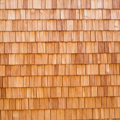 .wood cross section background