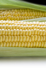 トウモロコシのアップ