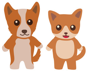 Fototapeta premium 犬と猫 コーギーと雑種