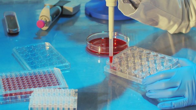 Pcr Processing In Genetic Laboratory