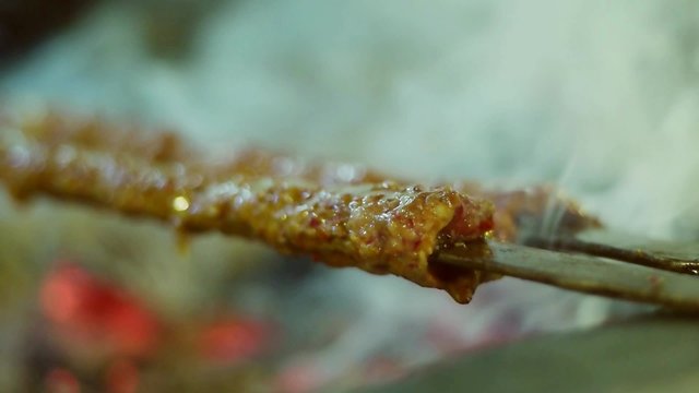 Barbecue grliling shish kebab slow motion