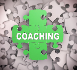 3d puzzle pieces - coaching
