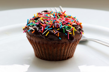 Sweet chocolate cupcake. Close up of chocolate cupcake. Muffins. Fresh delicious homemade cupcakes. Chocolate cupcakes with chocolate frosting on top with sugar sprinkles. Shallow depth of field.