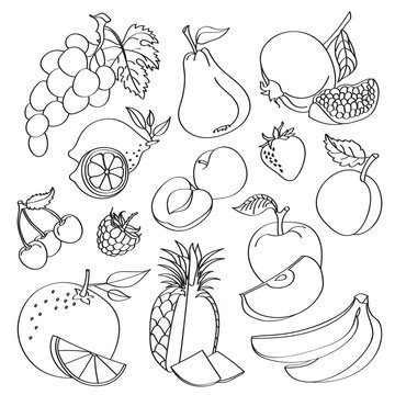 Doodle vector fruit