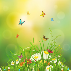 Naklejki  Wiosna natura tło z zieloną trawą, kwiatami i motylami
