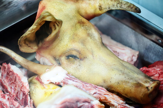Raw pig head