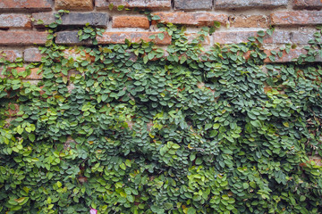grunge background, red brick wall texture bright plaster wall and blocks road sidewalk abandoned exterior urban background for your concept or project