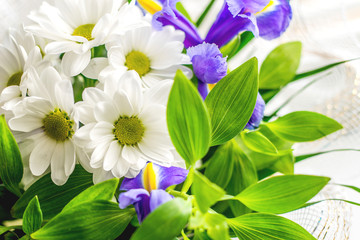 A bouquet of flowers close up. Daisies and irises 