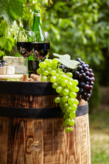Bottle of red wine with wineglass and grapes in vineyard