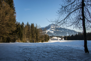 Kitzbüheler Horn im Winter