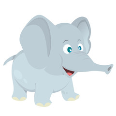 Cute Baby Elephant