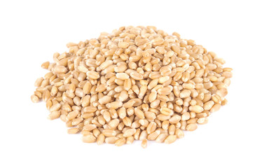 Wheat on white background.