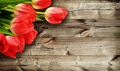 Fototapeta na wymiar Tulip flowers on dark wooden background