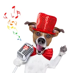 Tableaux ronds sur aluminium Chien fou dog singing with microphone