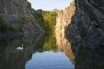 Fototapeta na wymiar White swan on rocky lake
