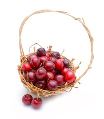 Ripe cherry berries in basket 