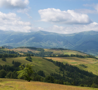 Landscape in the Ukrainian Carpathians © rootstocks