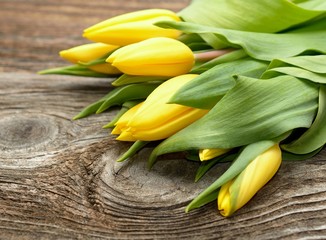 yellow tulips on wooden background