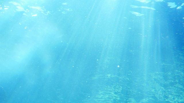 Underwater Ocean Sunlight 02 Slow Motion 96fps