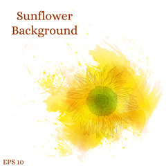 Sunflower background. Watercolor yellow flower.