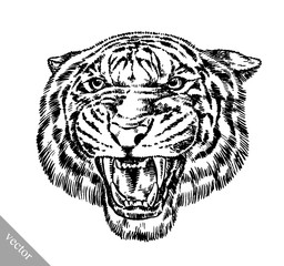 engrave ink draw tiger illustration
