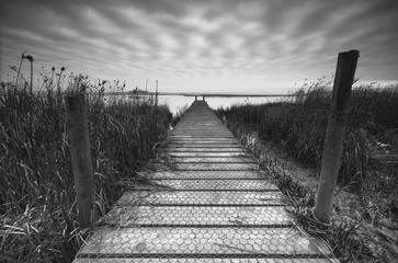 Jetty. A black and white DSLR photo of a jetty stretching into the distance. At the end of the jetty there is a body of water and to the sides there are reeds.