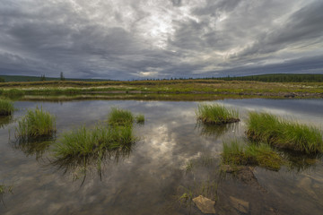 Summer landscape with river, forest and cloudy sky and reflection and sunset 