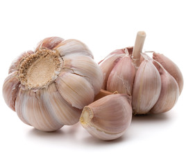Garlic bulb isolated on white background cutout