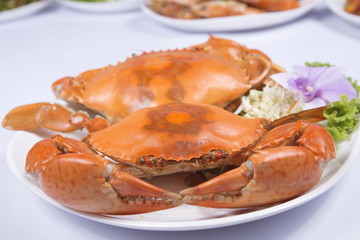 Fresh Big steam crab on the plate