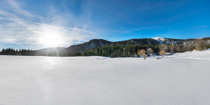 eingeschneite Lichtung im Schwarzwald am Feldberg