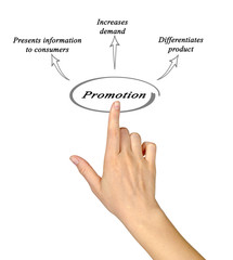 Diagram of promotion