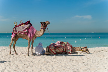 Bedouin with camels on the beach