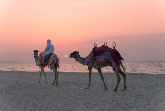 Bedouin with camels on the beach