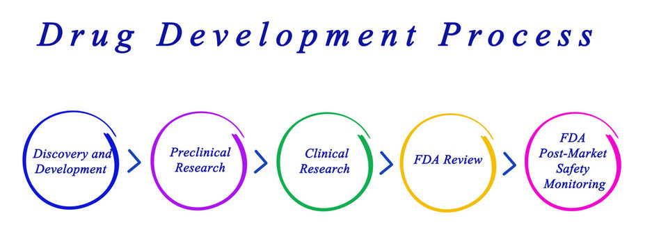 Diagram Of Drug Development Process