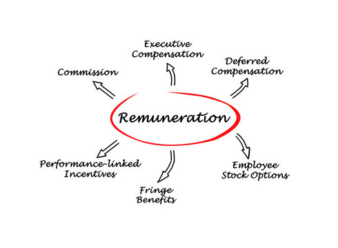 Diagram of Remuneration