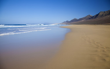 Naklejka premium Fuerteventura, Canary Islands, Cofete beach