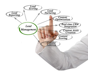 Diagram of Lead Management