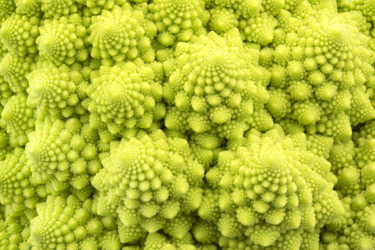 Romanesco, Nahaufnahme, als Hintergrund