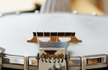 Detail of a metallic banjo 6 strings as music background