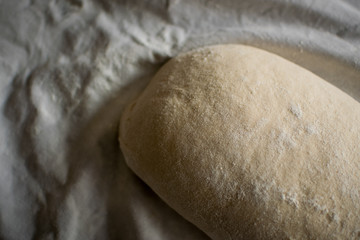 artisan bread dough resting for