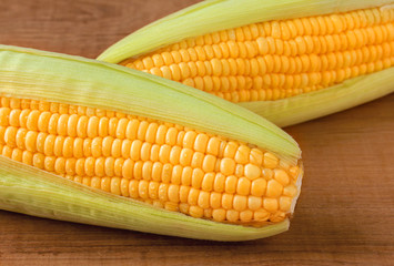 Ripe corn on the cob