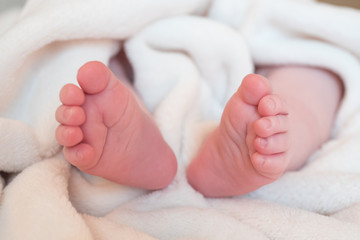 Pieds bébé